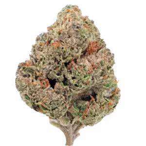 Gorilla Glue – THCa Flower