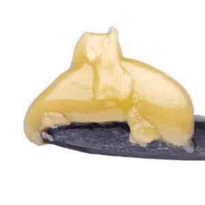 Fatso THCa Live Hash Rosin