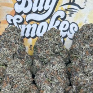 Mint Chocolate Runtz